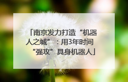 南京发力打造“机器人之城”：用3年时间“强攻”具身机器人