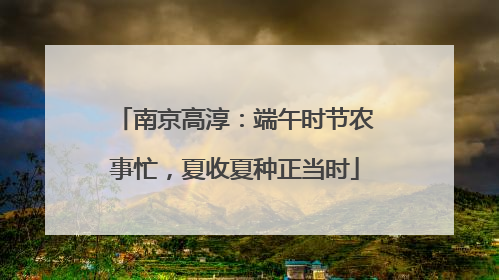 南京高淳：端午时节农事忙，夏收夏种正当时