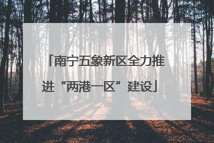 南宁五象新区全力推进“两港一区”建设