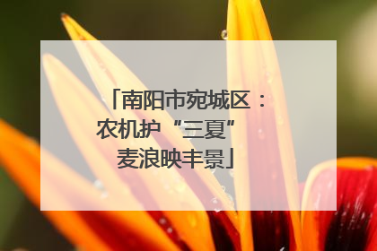 南阳市宛城区：农机护“三夏” 麦浪映丰景