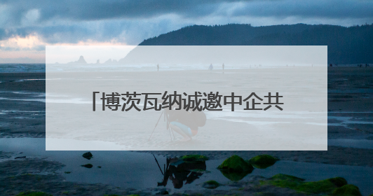 博茨瓦纳诚邀中企共拓非洲市场 与多家中企达成合作协议
