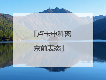 卢卡申科离京前表态