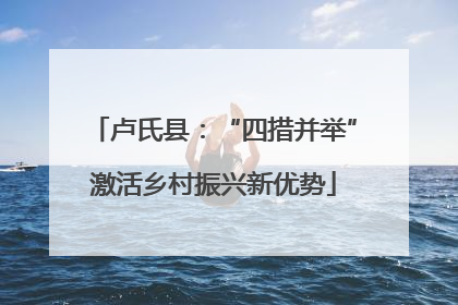 卢氏县：“四措并举”激活乡村振兴新优势