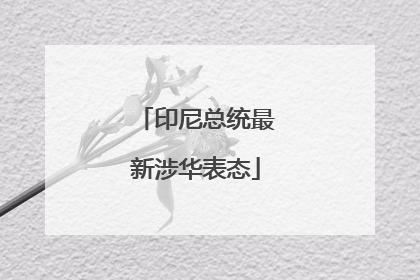 印尼总统最新涉华表态