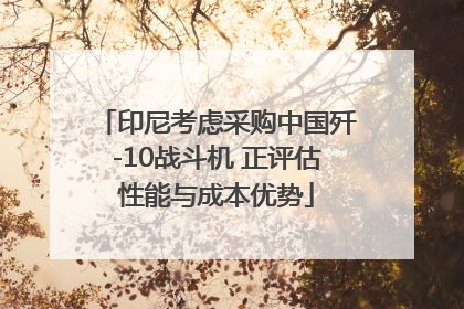 印尼考虑采购中国歼-10战斗机 正评估性能与成本优势