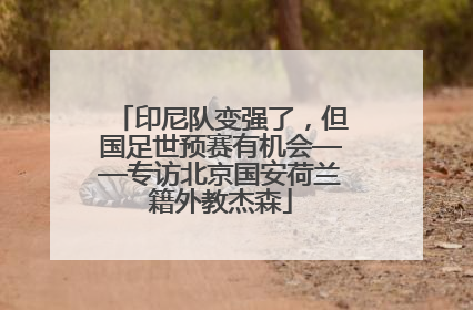 印尼队变强了，但国足世预赛有机会——专访北京国安荷兰籍外教杰森