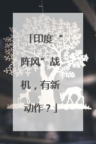 印度“阵风”战机，有新动作？