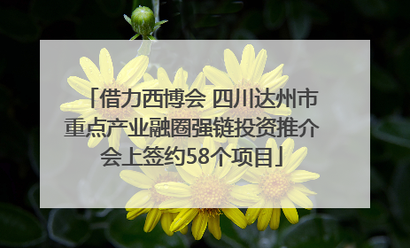 借力西博会 四川达州市重点产业融圈强链投资推介会上签约58个项目