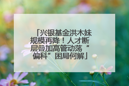 兴银基金洪木妹规模再降！人才断层叠加高管动荡“偏科”困局何解