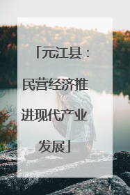 元江县：民营经济推进现代产业发展