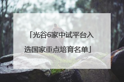 光谷6家中试平台入选国家重点培育名单