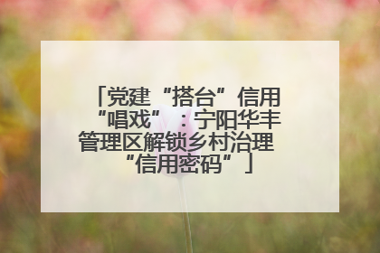 党建“搭台”信用“唱戏”：宁阳华丰管理区解锁乡村治理“信用密码”