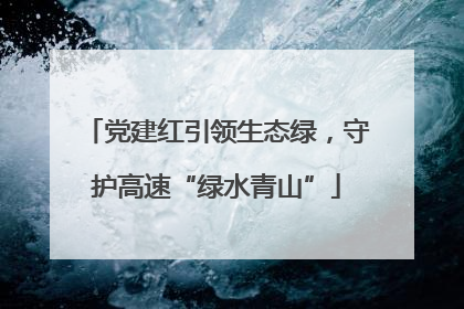 党建红引领生态绿，守护高速“绿水青山”