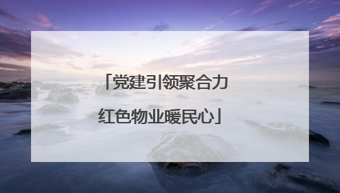 党建引领聚合力 红色物业暖民心