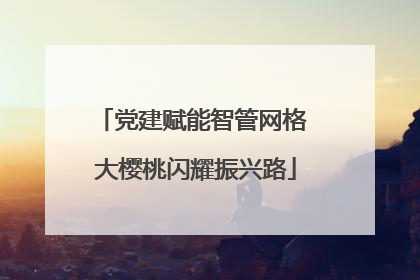 党建赋能智管网格 大樱桃闪耀振兴路
