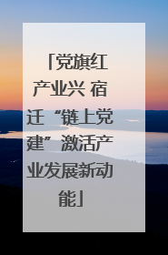 党旗红 产业兴 宿迁“链上党建”激活产业发展新动能