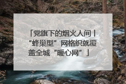 党旗下的烟火人间丨“蜂巢型”网格织就覆盖全城“暖心网”