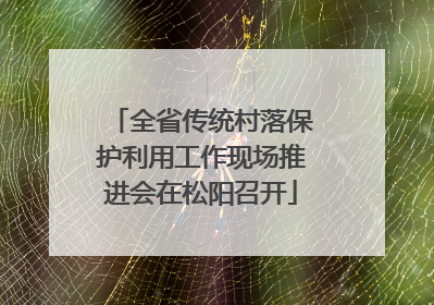 全省传统村落保护利用工作现场推进会在松阳召开