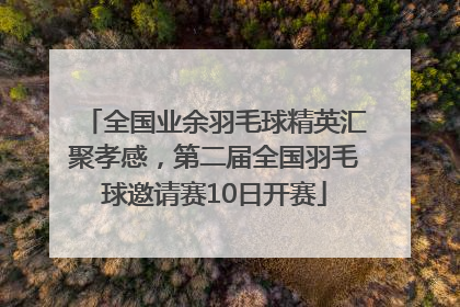 全国业余羽毛球精英汇聚孝感，第二届全国羽毛球邀请赛10日开赛