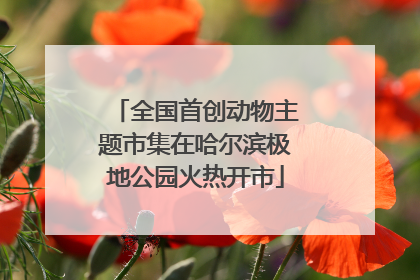 全国首创动物主题市集在哈尔滨极地公园火热开市
