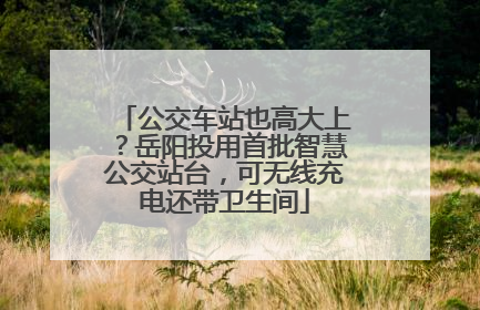 公交车站也高大上？岳阳投用首批智慧公交站台，可无线充电还带卫生间