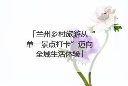 兰州乡村旅游从“单一景点打卡”迈向全域生活体验