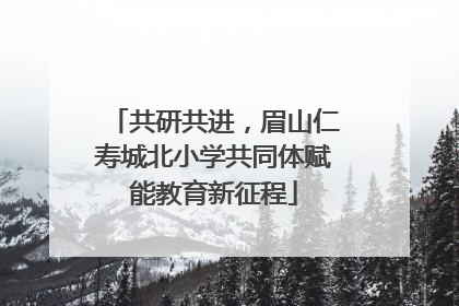 共研共进，眉山仁寿城北小学共同体赋能教育新征程