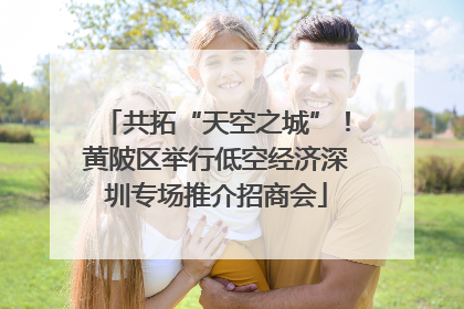 共拓“天空之城”！黄陂区举行低空经济深圳专场推介招商会