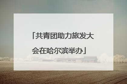 共青团助力旅发大会在哈尔滨举办