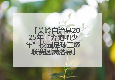 关岭自治县2025年“奔跑吧少年”校园足球三级联赛圆满落幕