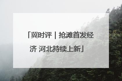 冀时评｜抢滩首发经济 河北持续上新