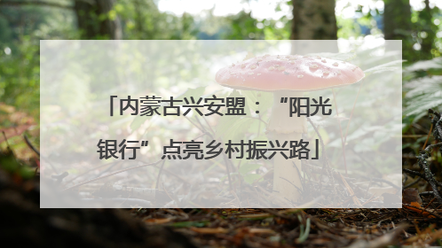 内蒙古兴安盟：“阳光银行”点亮乡村振兴路