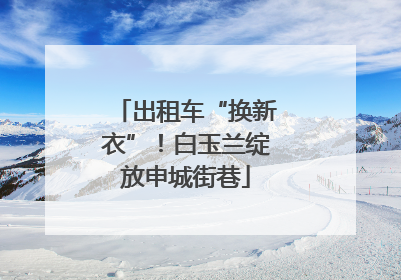 出租车“换新衣”！白玉兰绽放申城街巷