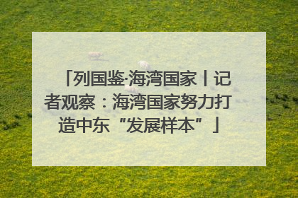 列国鉴·海湾国家丨记者观察：海湾国家努力打造中东“发展样本”
