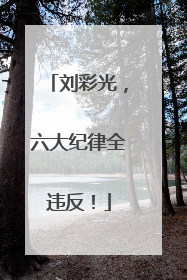 刘彩光，六大纪律全违反！