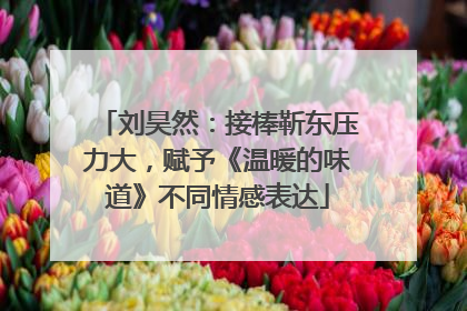刘昊然：接棒靳东压力大，赋予《温暖的味道》不同情感表达