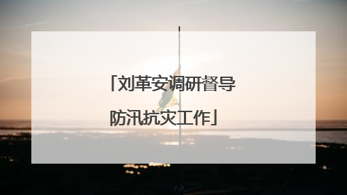 刘革安调研督导防汛抗灾工作