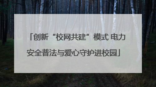 创新“校网共建”模式 电力安全普法与爱心守护进校园