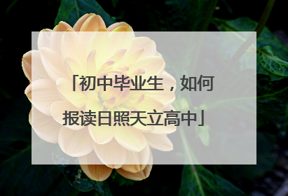 初中毕业生，如何报读日照天立高中