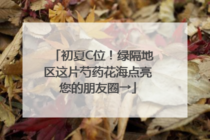 初夏C位！绿隔地区这片芍药花海点亮您的朋友圈→