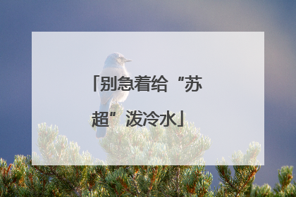 别急着给“苏超”泼冷水