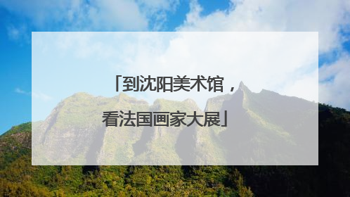 到沈阳美术馆，看法国画家大展