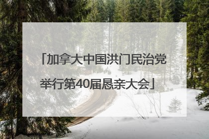 加拿大中国洪门民治党举行第40届恳亲大会