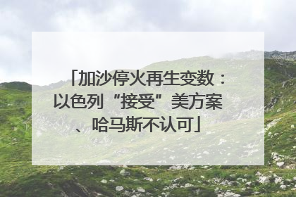 加沙停火再生变数：以色列“接受”美方案、哈马斯不认可