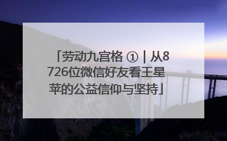 劳动九宫格 ①｜从8726位微信好友看王星苹的公益信仰与坚持