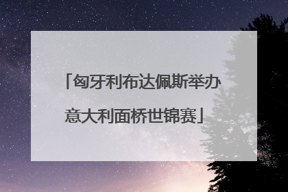 匈牙利布达佩斯举办意大利面桥世锦赛