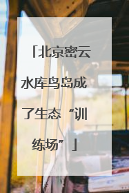 北京密云水库鸟岛成了生态“训练场”