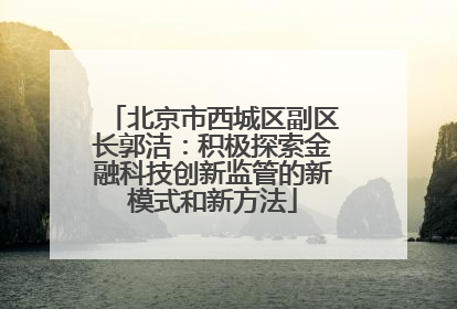 北京市西城区副区长郭洁：积极探索金融科技创新监管的新模式和新方法
