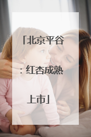 北京平谷：红杏成熟上市