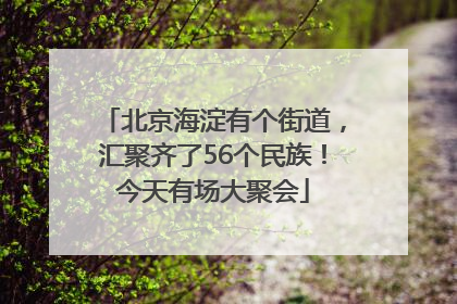北京海淀有个街道，汇聚齐了56个民族！今天有场大聚会